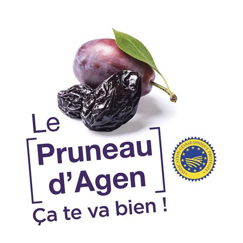Prunes d'Ente fraîches et pruneaux d'Agen séchés