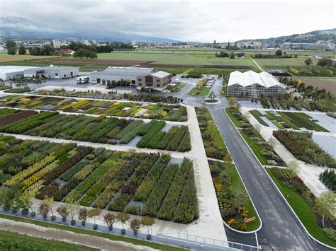Vue panoramique d'une pépinière artisanale avec serres et rangées de végétaux bien entretenus