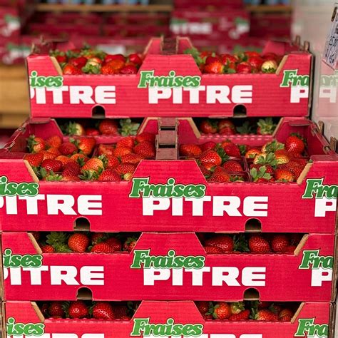 Fraises fraîchement cueillies sur un étal de marché