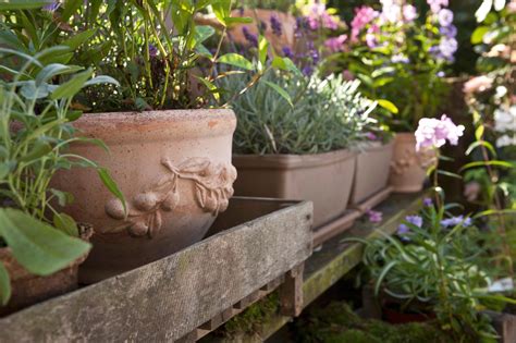 une jardinière en terre cuite avec un message peint