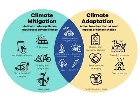Diagram showing climate adaptation strategies for orchards