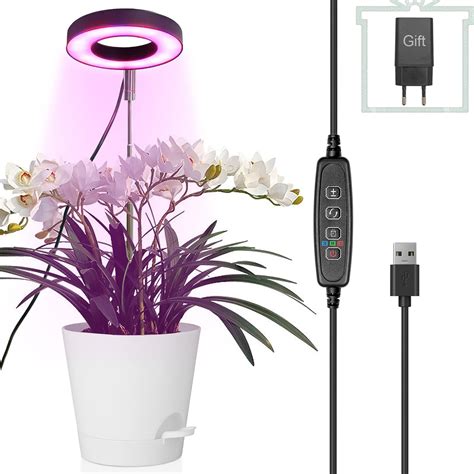 Lampe de croissance pour bonsaï