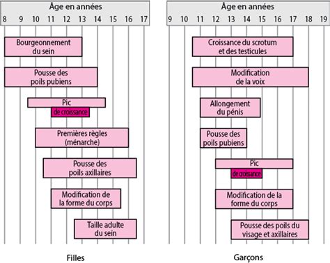 Graphique de la croissance typique chez les filles pendant la puberté