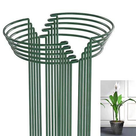 Collection de tuteurs variés pour plantes d'intérieur : mousse de coco, bambou, métal