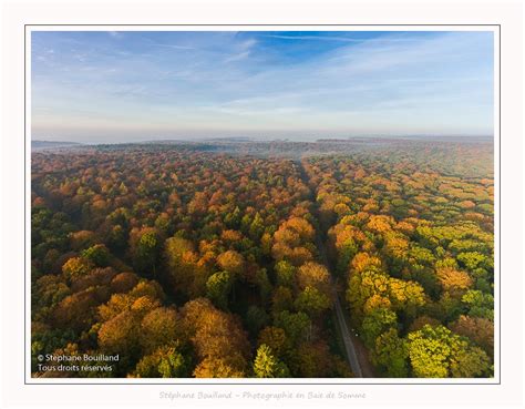Vue panoramique de la forêt domaniale de Crécy en automne