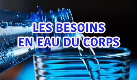 Infographie comparant les besoins en eau des différents types de cactus