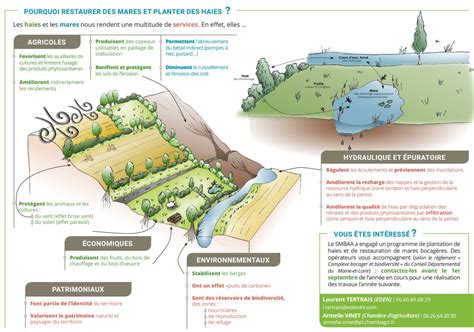Restauration d'une mare et plantation de haies dans une prairie