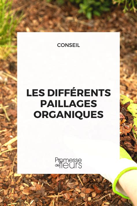 Infographie comparant les avantages des paillis minéraux et organiques
