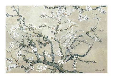 Branches d'amandier en fleurs