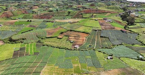 Vue aérienne des paysages agricoles de la commune de Canet dans l'Hérault