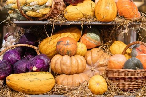 conservation des courges