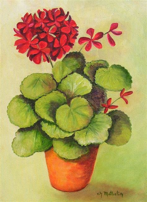 Dessin au trait d'un pot de géranium