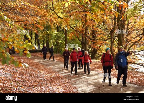 Randonneurs sur un sentier boisé
