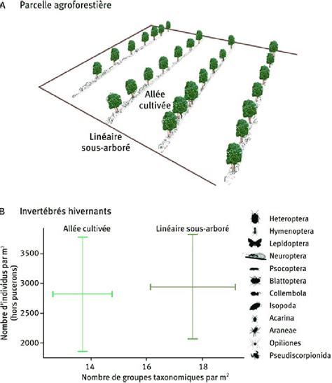 Infographie comparant le rendement d'une parcelle en permaculture versus agriculture conventionnelle en milieu urbain