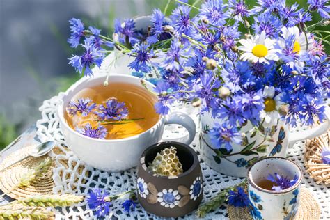 Photo d'une tasse de tisane de Piloselle préparée avec des fleurs séchées