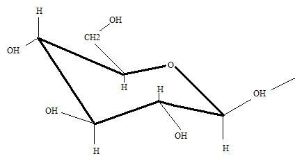 Composition chimique du bois non traité