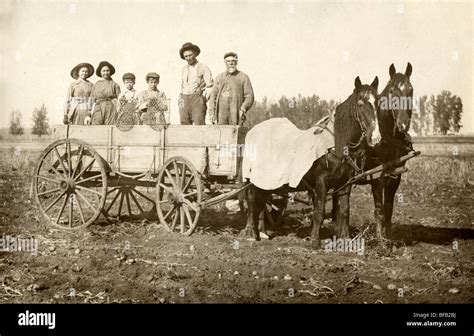 Tours de charrettes à la Ferme Proulx