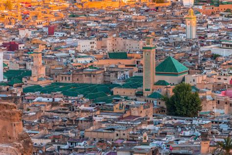 Vue panoramique des jardins historiques et vergers traditionnels de Fès