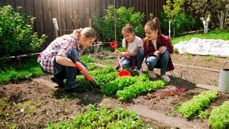 Enfants en train de jardiner dans le potager pédagogique de l'école