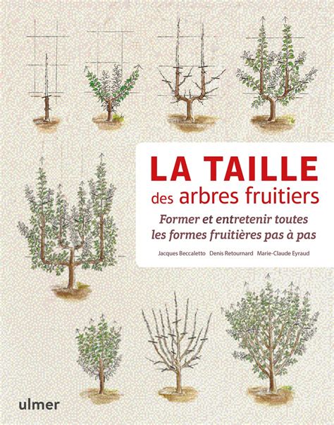 Diagramme illustrant l'impact des arbres fruitiers sur la régulation thermique d'une maison