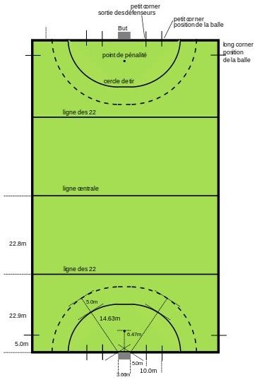 Terrain de hockey sur gazon avec ses zones clés