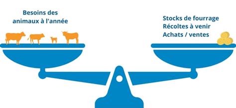 Schéma conceptuel du bilan fourrager : besoins versus stocks disponibles