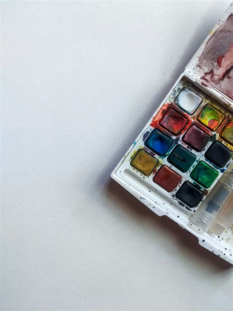 Palette d'aquarelles artisanales utilisant des pigments végétaux, dont le figuier