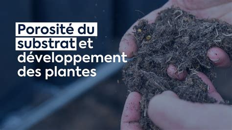 Schéma structurel d'un substrat de bonsaï idéal montrant la porosité entre les grains