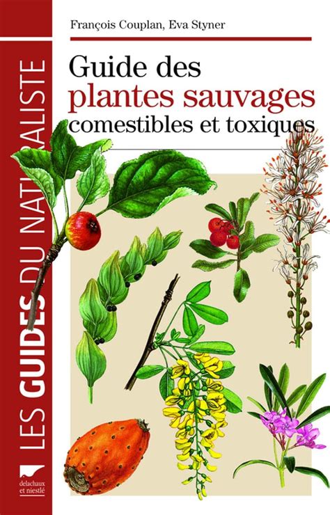 Guide photographique de reconnaissance des plantes sauvages comestibles