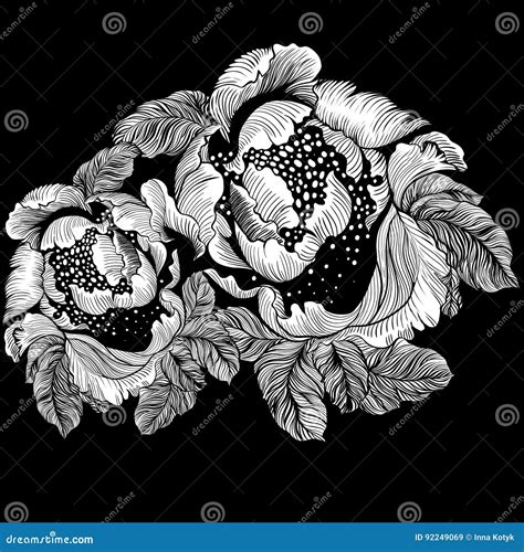 Illustration artistique de motifs floraux, roses et pivoines entrelacées