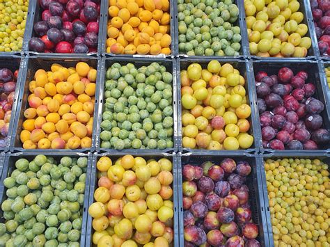 Assortiment de prunes aux couleurs variées