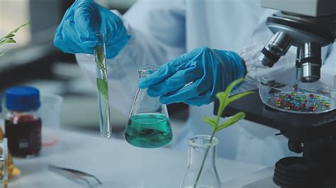 Laboratoire de biotechnologie végétale