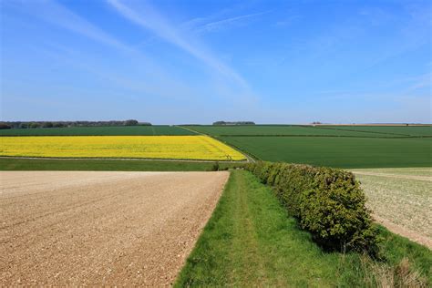 Paysage agricole diversifié montrant une mosaïque de cultures et de haies