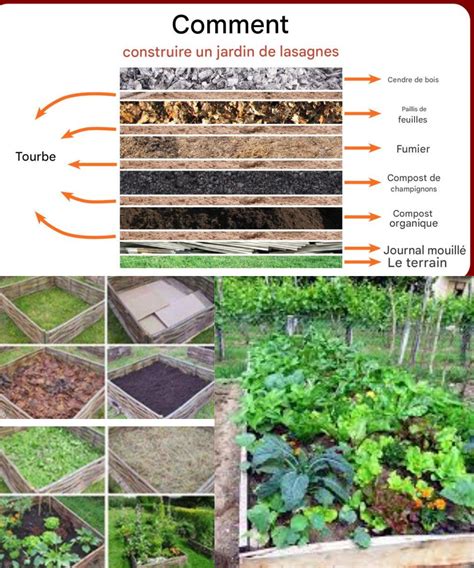 Infographie sur les avantages du potager en lasagnes