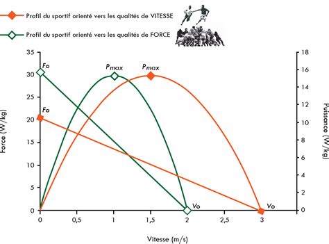 un graphique comparant la puissance recommandée des bineuses électriques en fonction de la taille du jardin