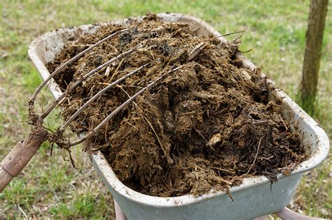 Schéma illustrant le cycle de transformation du fumier de porc : du stockage à l'amendement final au potager