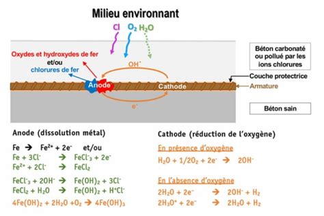 schéma illustrant la réaction électrochimique entre le mucus de la limace et le cuivre