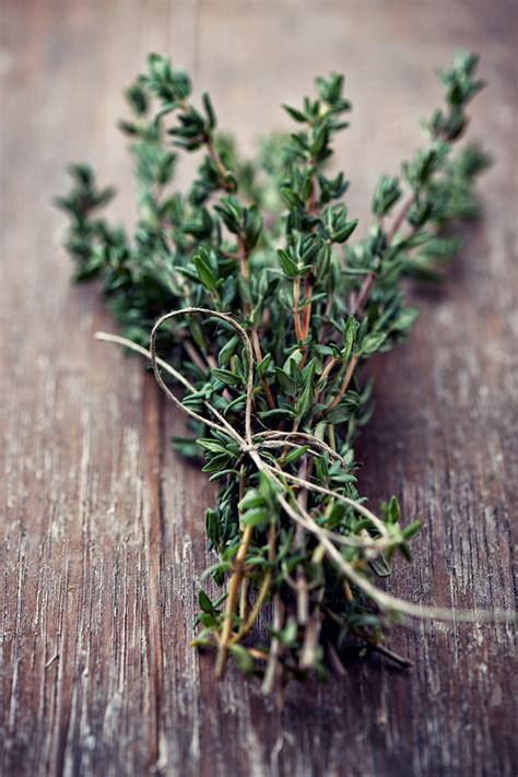 Thym frais et séché en cuisine