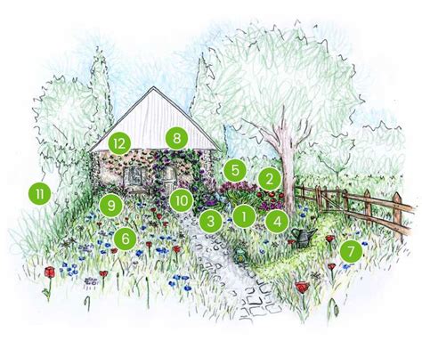 Schéma d'un jardin écologique