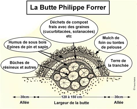 Schéma des couches d'une butte façon Philip Forrer, avec du bois en décomposition enfoui