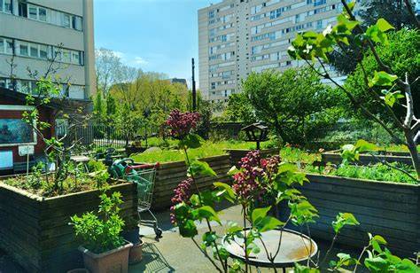 Illustration de jardins partagés et de projets de permaculture urbaine à Strasbourg