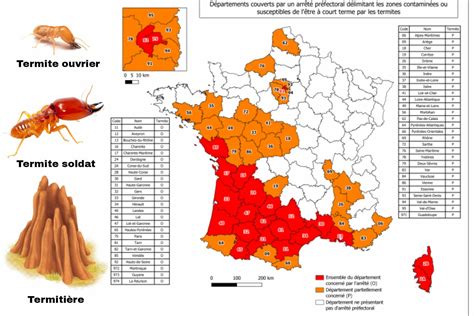 Carte topographique du Désert des termites mettant en évidence la zone 15