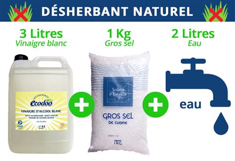 Ingrédients pour un désherbant maison : sel, vinaigre, liquide vaisselle