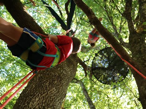 Schéma d'un système de grimpe aux arbres avec pédale et sangle