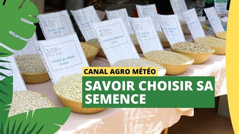 Image d'un paysan sélectionnant des semences traditionnelles