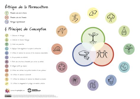 Schéma des principes de conception en permaculture