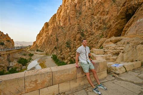 Vue panoramique d'une palmeraie traditionnelle dans la région des Ziban en Algérie