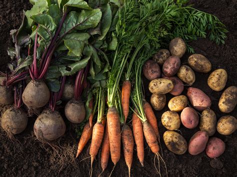 Assortiment de légumes racines : panais, carottes et pommes de terre