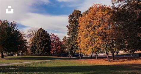 Photo d'un parc arboré et sécurisé pour les promenades des résidents