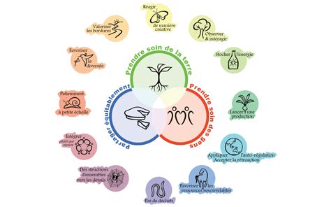 Schéma illustrant les trois piliers de la permaculture : soin de la terre, soin des hommes et partage équitable